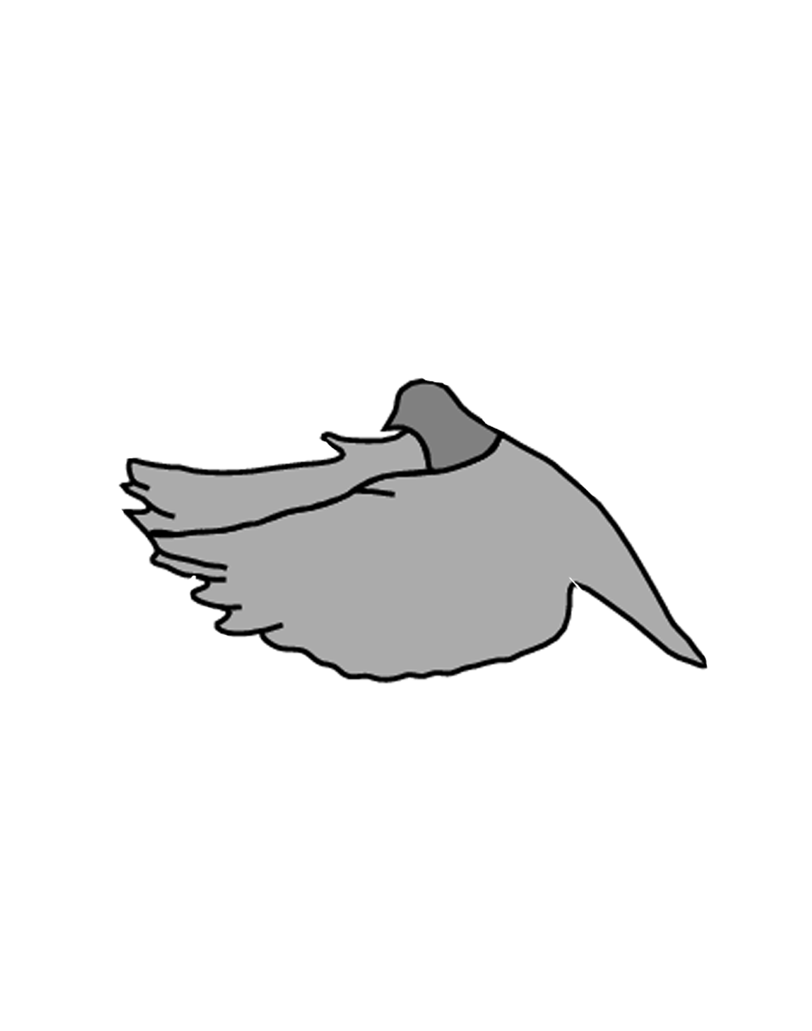 Site hosted by Neocities