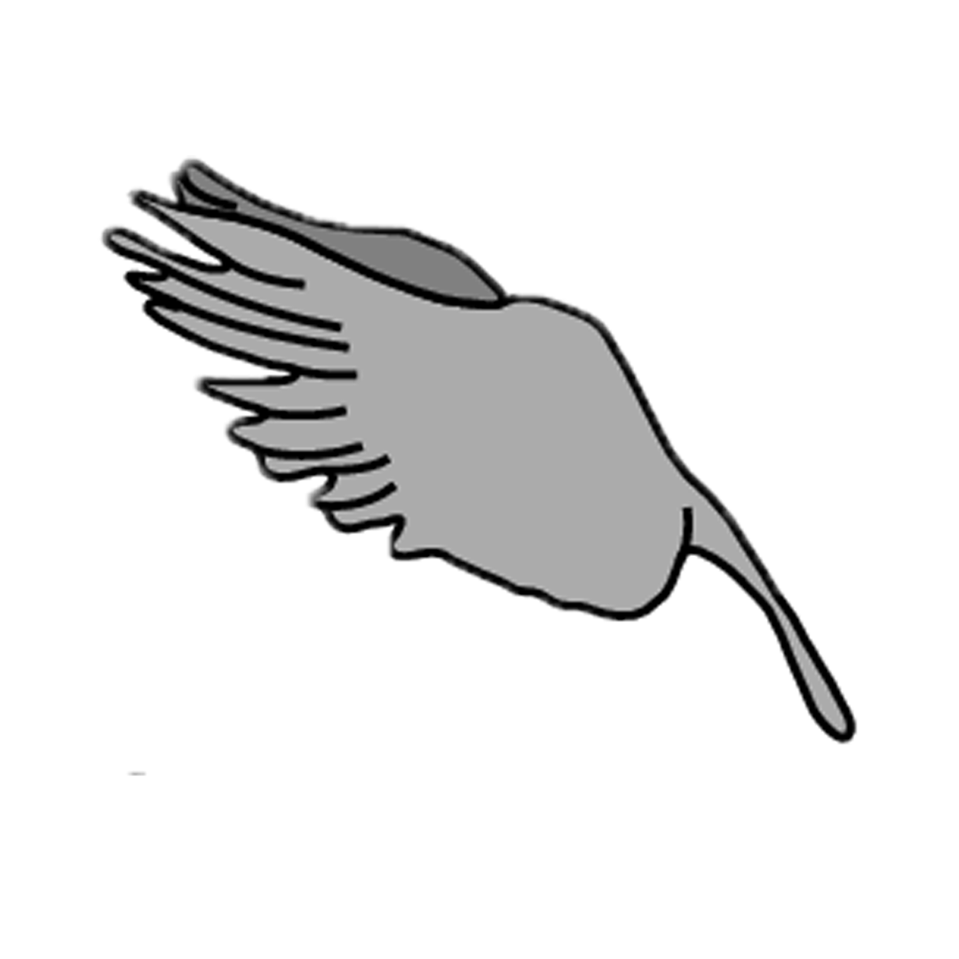 Site hosted by Neocities